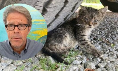 Jonathan Franzen Explains the Number One Threat to American Birds