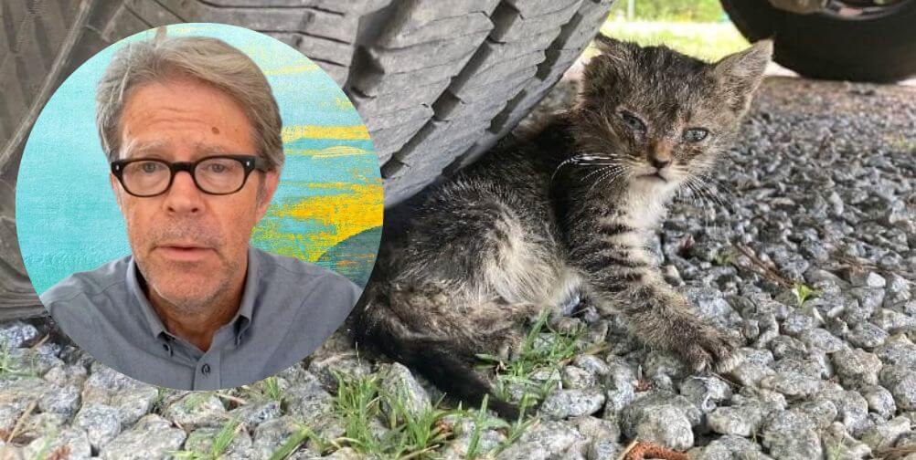 Joanthan Franzen in yellow and blue circle next to sad cat outdoors
