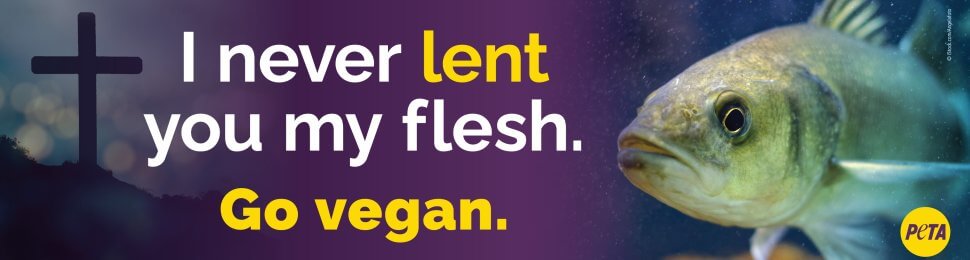 I Never Lent You My Flesh. Go Vegan.