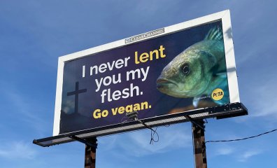 PETA’s Baltimore Billboards Speak Out for Crabs and Other Sea Life