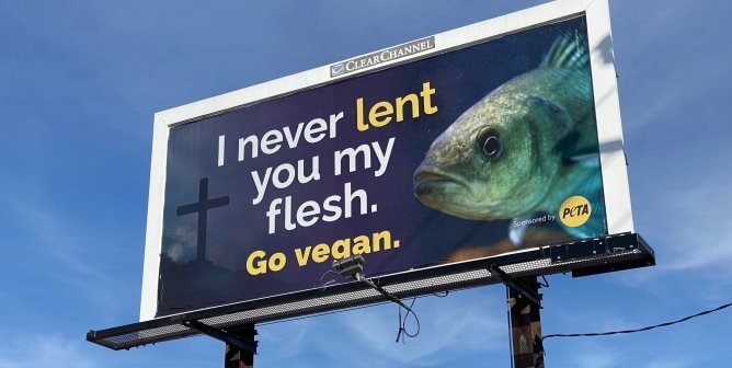 PETA’s Baltimore Billboards Speak Out for Crabs and Other Sea Life
