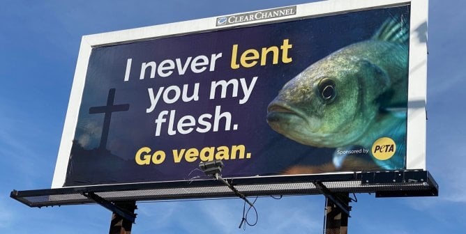 PETA’s Baltimore Billboards Speak Out for Crabs and Other Sea Life