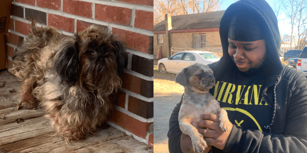 Marley before and after Meet the Animals Our Fieldworkers Helped