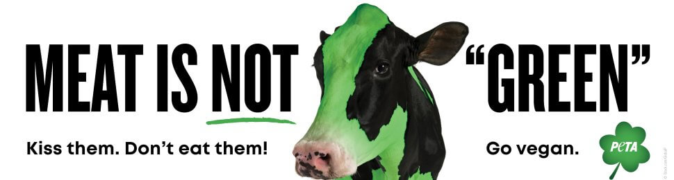 Meat Is NOT “Green.” Kiss Them. Don’t Eat Them! Go Vegan. (Cow)