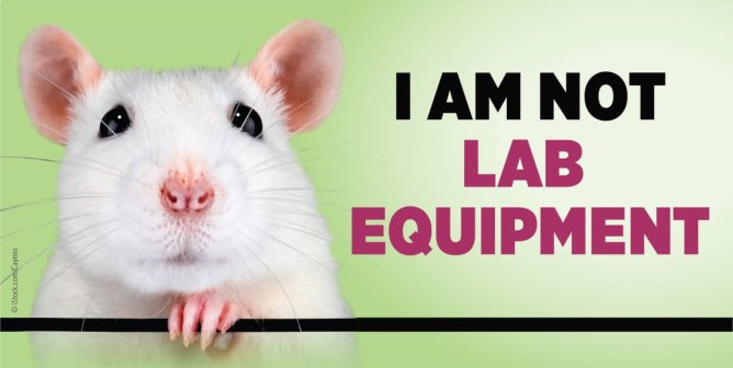 Incompetent Staff Increase Animal Body Count at Brigham and Women’s Hospital Laboratories