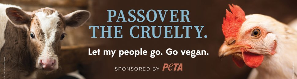 Passover The Cruelty. Let My People Go. Go Vegan.