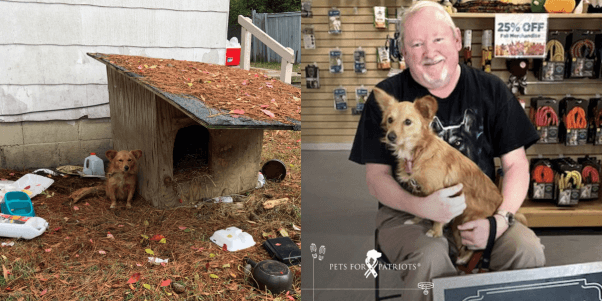 Sadie before and after Meet the Animals Our Fieldworkers Helped