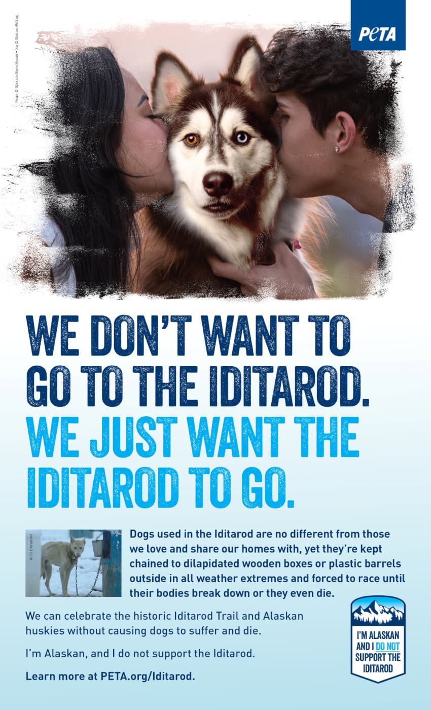 Two people kiss a husky dog on an advertisement that reads "We don't want to go to the Iditarod. We just want the Iditarod to go."