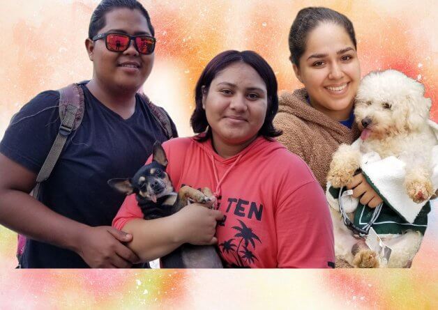 PETA Latino in Cancún: Spaying Like There’s No Mañana