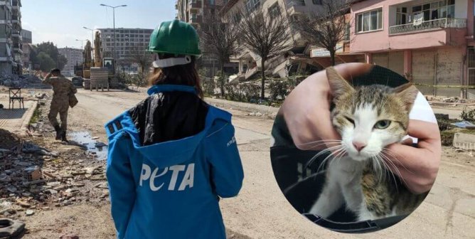 People for the Ethical Treatment of Animals (PETA) People for the Ethical Treatment of Animals (PETA)