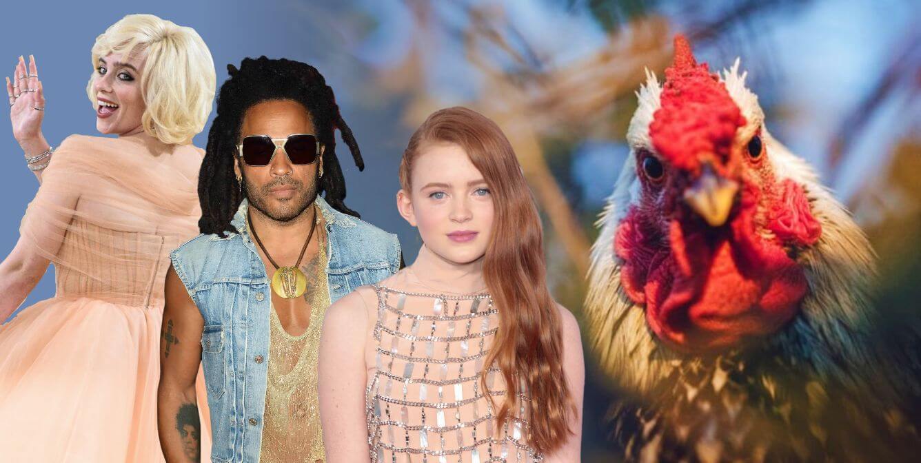 egg shortage celeb feature image 10 Celebs Who Never Pay For Eggs