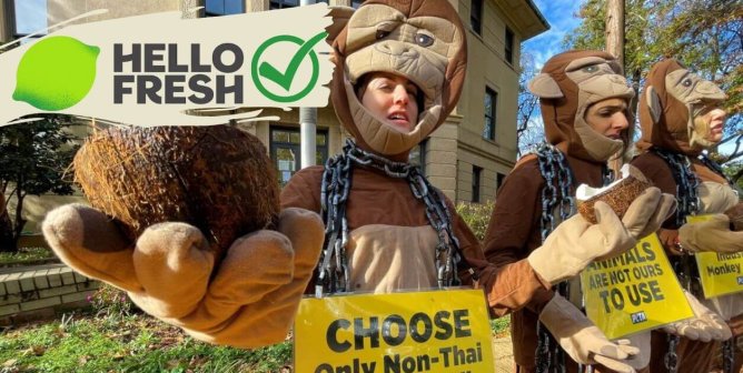 Victory! HelloFresh Won’t Support Monkey Slavery