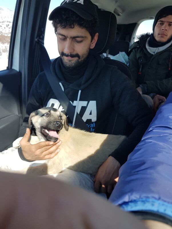 holding rescued dog after earthquake