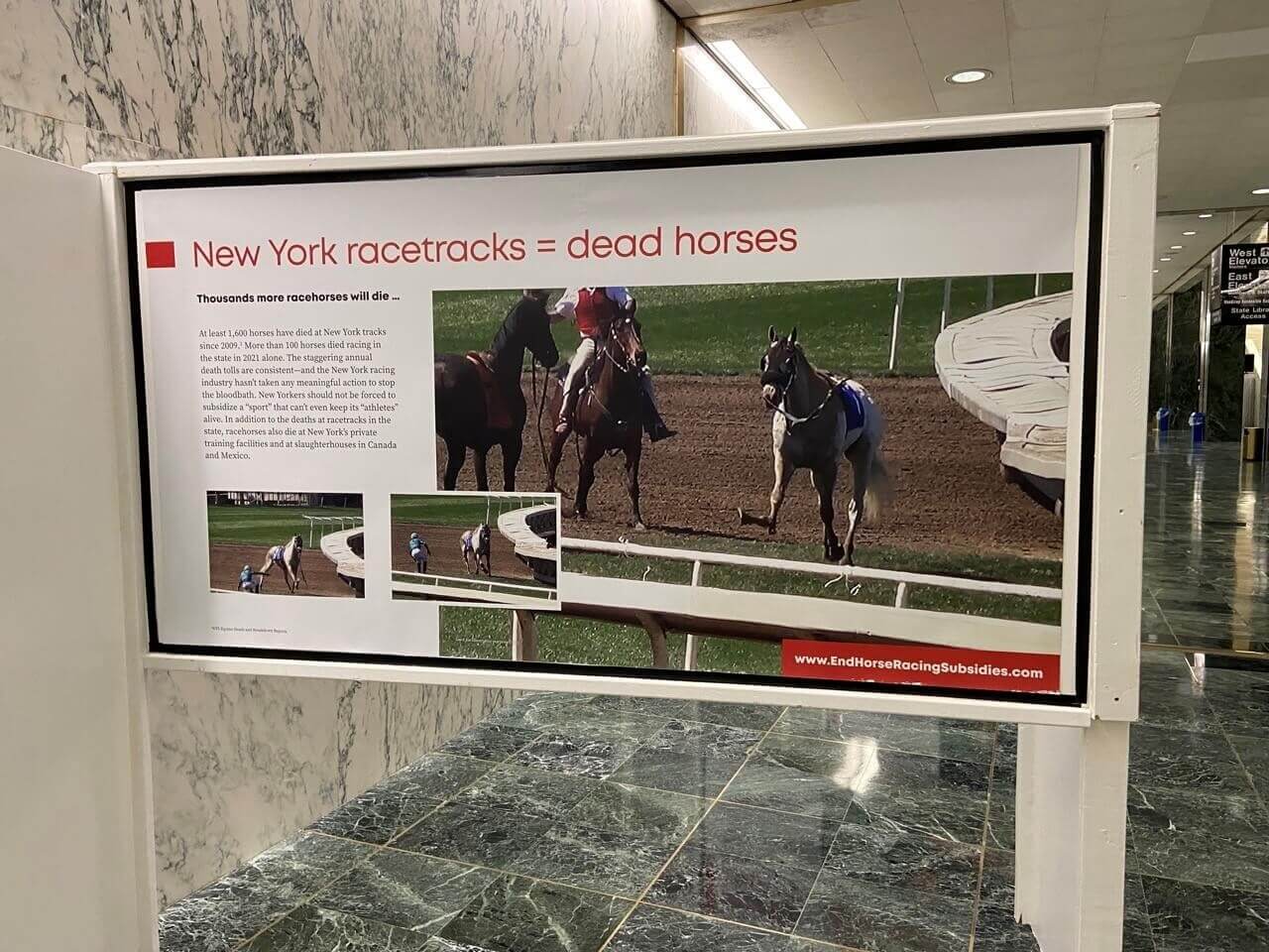 Coalition to End Horse Racing Subsidies panel put up about how New York racetracks lead to dead horses
