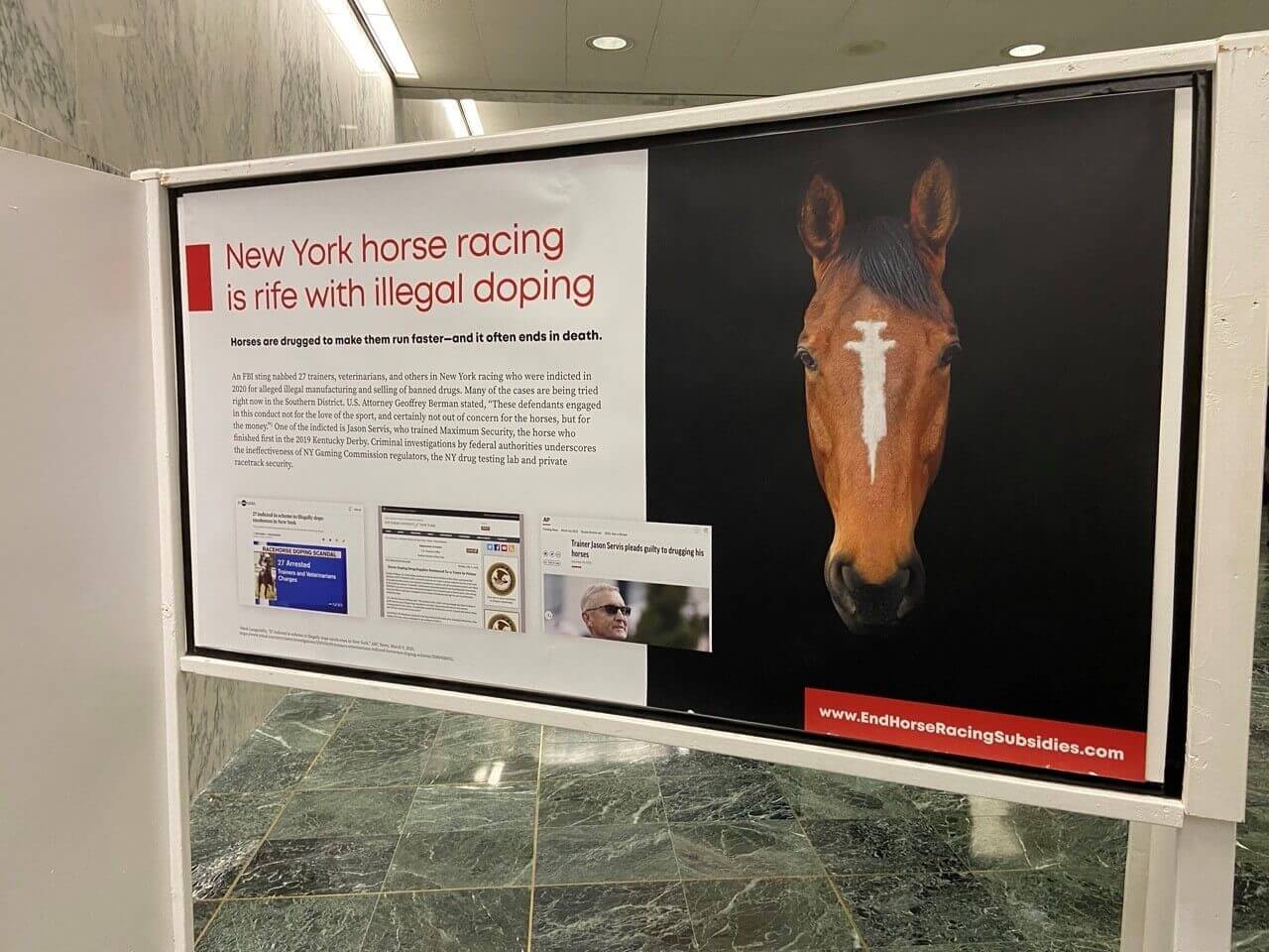 Coalition to End Horse Racing Subsidies panel about how New York horse racing is rife with illegal doping