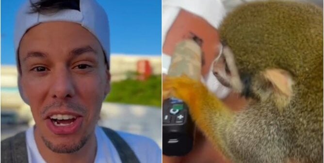Video Shows Monkey Forced to Tattoo Man’s Leg