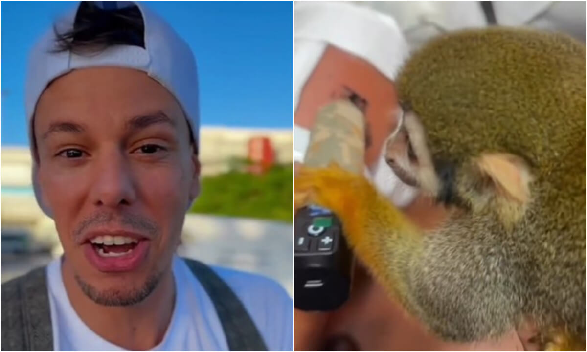 monkey tattoo funky matas video Video: Monkey Forced to Tattoo Man’s Leg