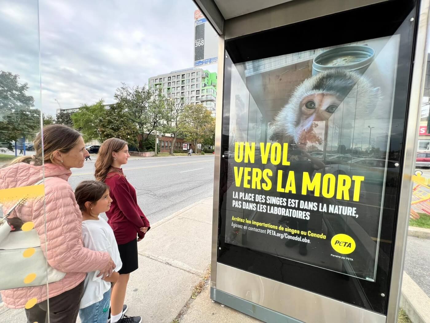 PETA is plastering stark new ads throughout Montréal calling out Canadian officials for enabling the deadly Cambodian monkey-importation industry