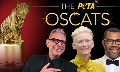 And the Winners of PETA’s Sixth Annual Oscat Awards Are…