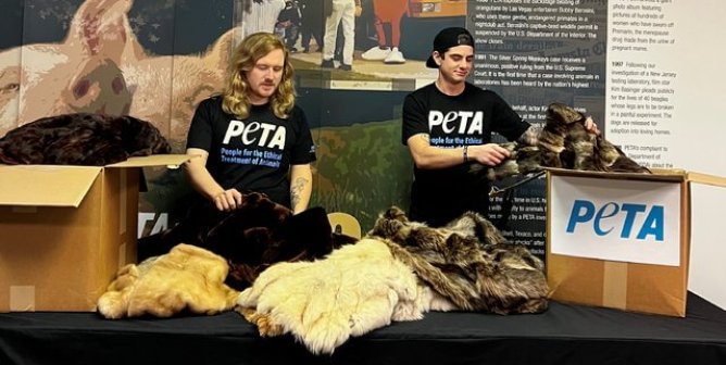 PETA staff place donated fur coats into boxes