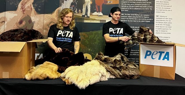 PETA staff place donated fur coats into boxes