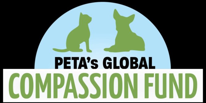 EMERGENCY Aid for Animals in Syria and Turkey via PETA’s Global Compassion Fund