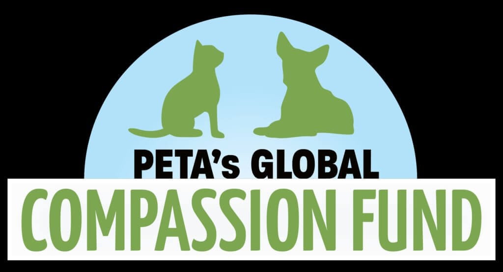 peta global compassion fund logo.png Aid for Animals in Syria and Turkey