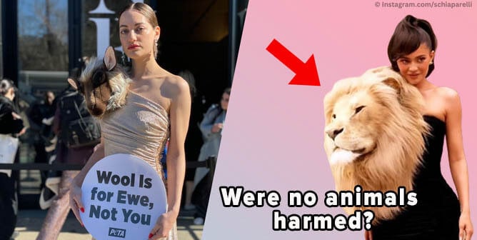 NY Fashion Week split image of PETA demo model wearing Schiaparelli-esque sheep outfit to promote wool-free designs next to Kylie Jenner wearing faux lion garment