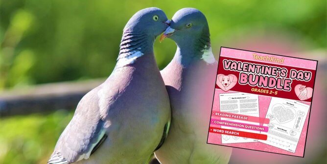 two pigeons in love next to picture of TeachKind's Valentine's Day Bundle