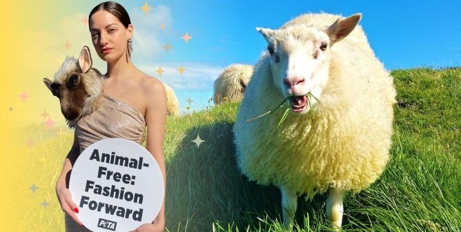 NY Fashion Week PETA sheep dress promoting wool-free designs with image of sheep on green grass