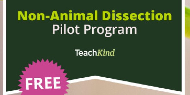Non-Animal Dissection Pilot Program