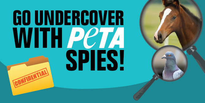 PETA Undercover Virtual event image