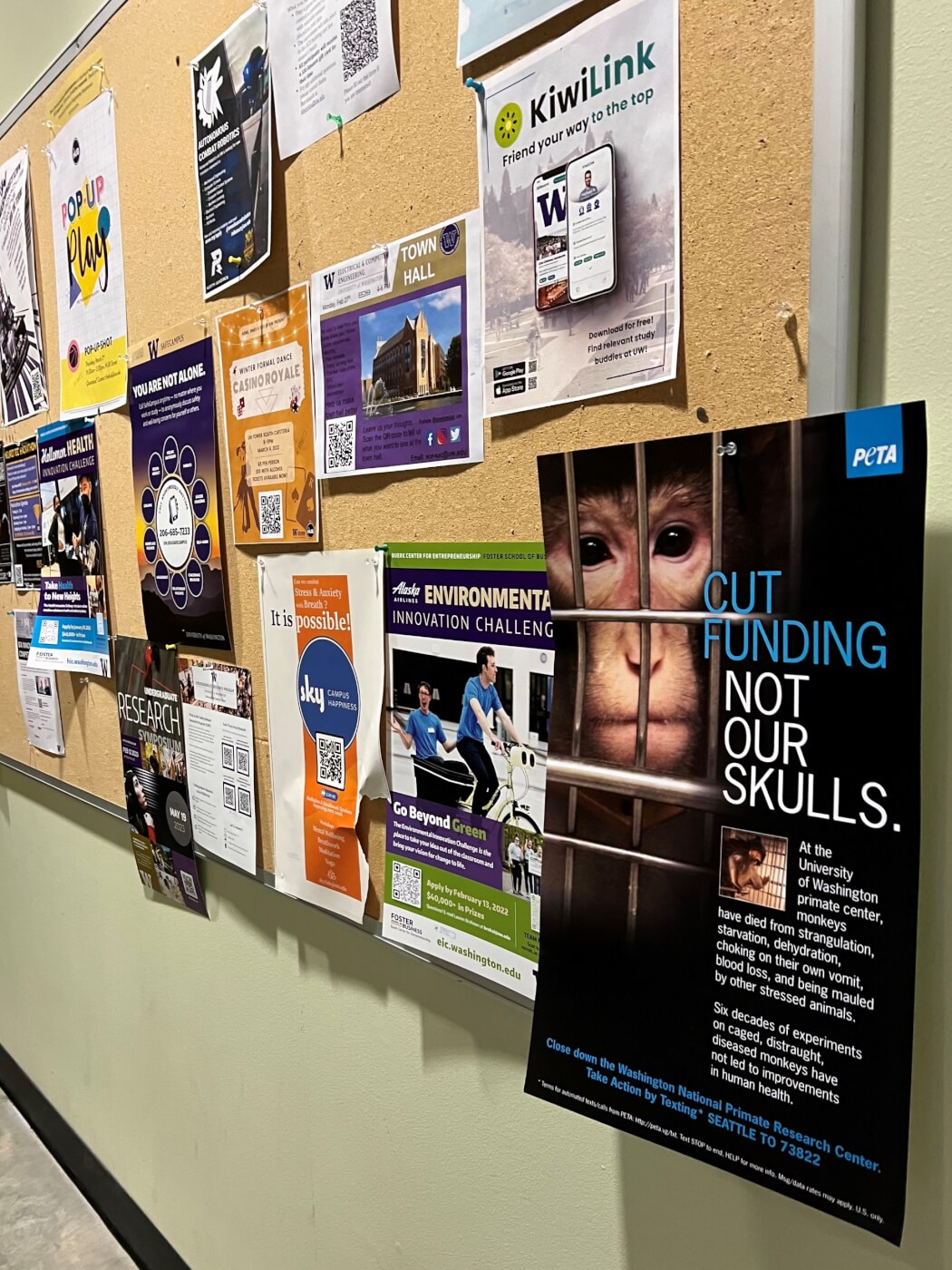 A flyposter hangs on a bulletin board at the University of Washington campus reading "Cut funding, not our skulls"