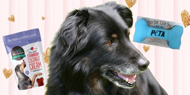 Animal Companions (Pets) | PETA Animal Companions (Pets) | PETA