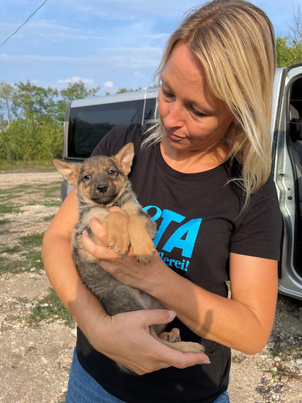 Boni the dog being rescued in Ukraine