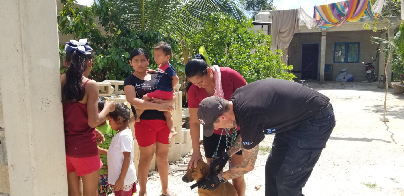 peta fieldworker helping a dog in Cancun