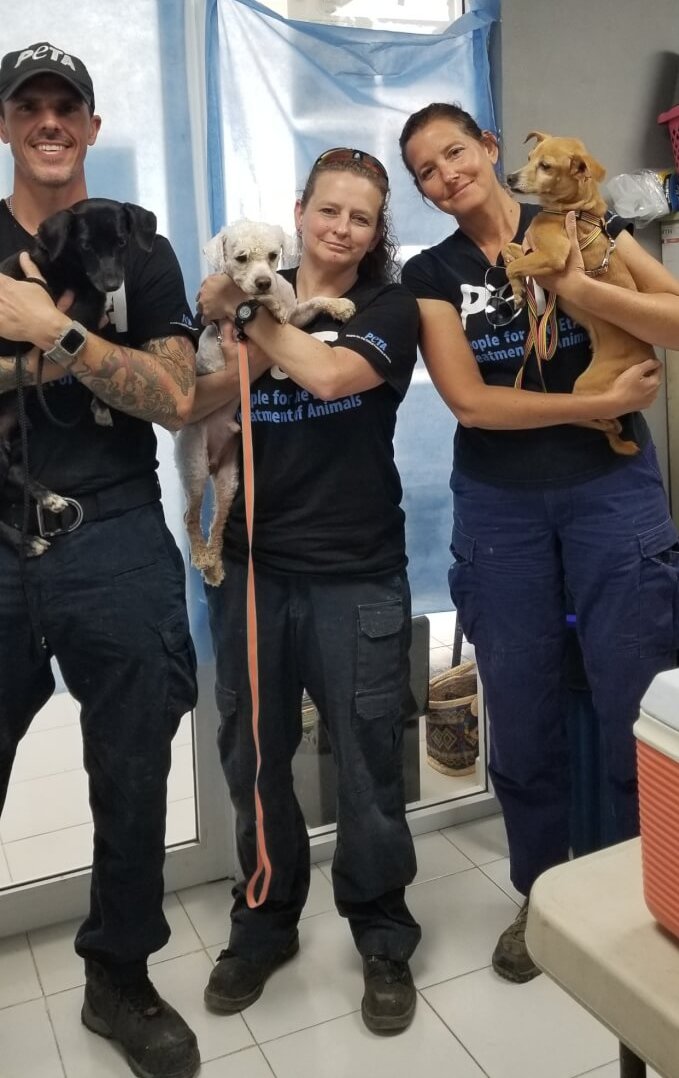 peta fieldworkers holding dogs at the local shelter in Cancun
