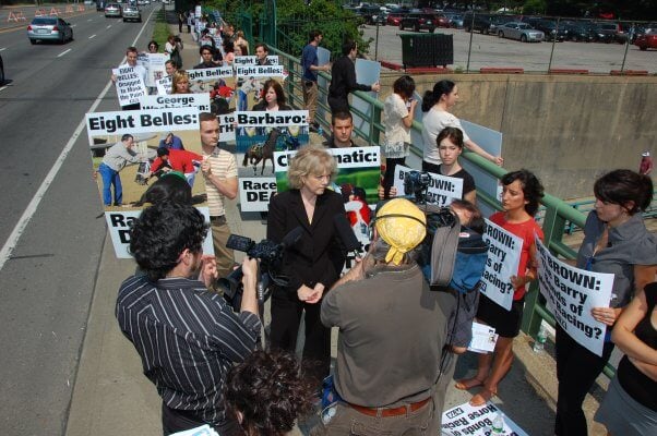 Belmont horse-racing demo, activists being interviewed