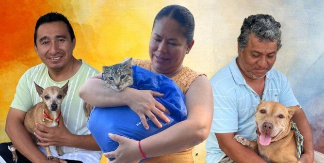 Cancún Spay-a-Thon Reaches Hundreds of Dogs and Cats