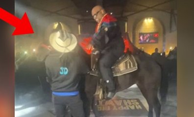 CeeLo Green Finds Out the Dangerous Way: Animals Aren’t Entertainment