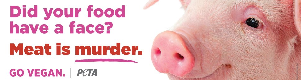 Did Your Food Have A Face? Meat Is Murder. Go Vegan. (Piglet)