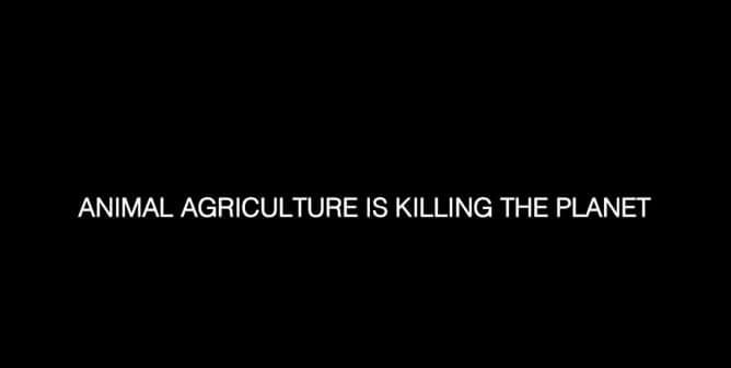 Don’t List. Animal Agriculture Is Killing The Planet. Do Better. Feed Them Vegan. 1.00