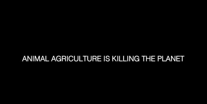 Don’t List. Animal Agriculture Is Killing The Planet. Do Better. Feed Them Vegan. 1.00