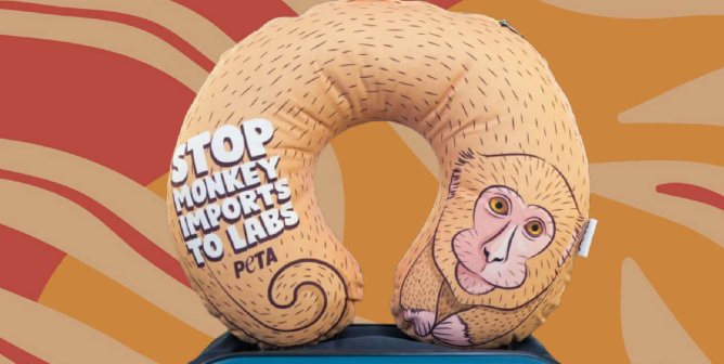See How These Top Oscar®️ Nominees Can Help End Monkey Experiments