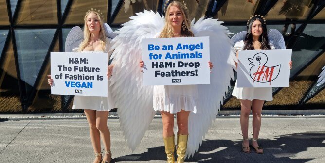 peta UK supporters dressed up as angels to protest H&M selling down feathers