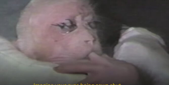 The Harvard Monkey Horror Story 0:30