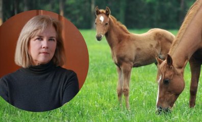 PETA Senior Vice President Kathy Guillermo: A Former Polo Player Dedicated to Saving Horses