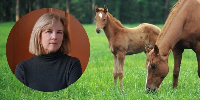 7 Horses Dead Amidst the Kentucky Derby: Horse Racing Has a Reality Problem