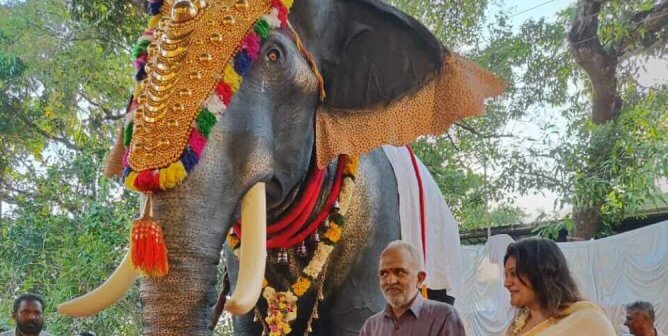 Robotic elephant from PETA India