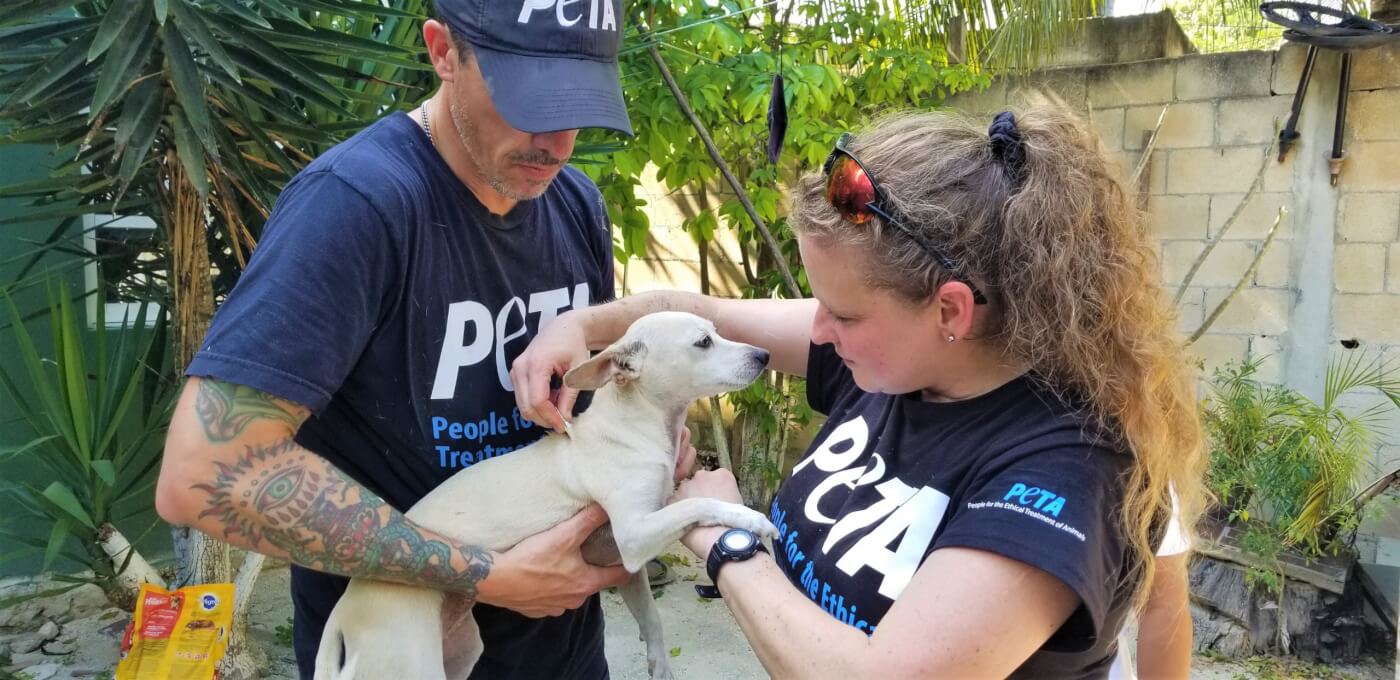 PETA Helps Romania worker holding dog